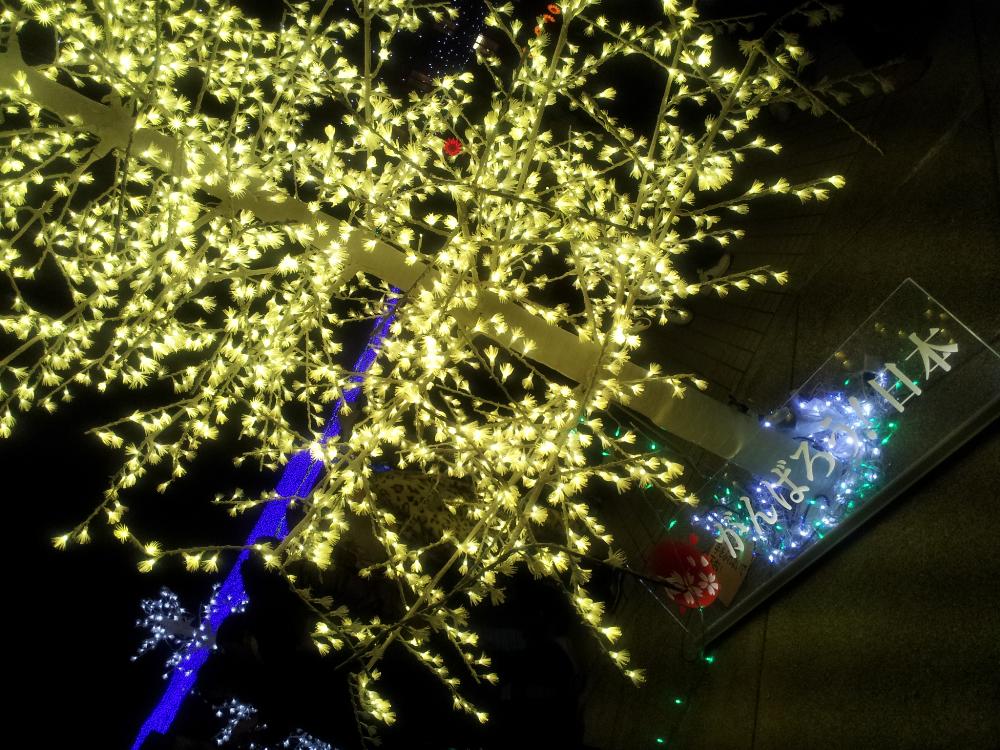 2011-12-24 17.44.24.jpg